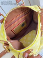 LV Master level Bag