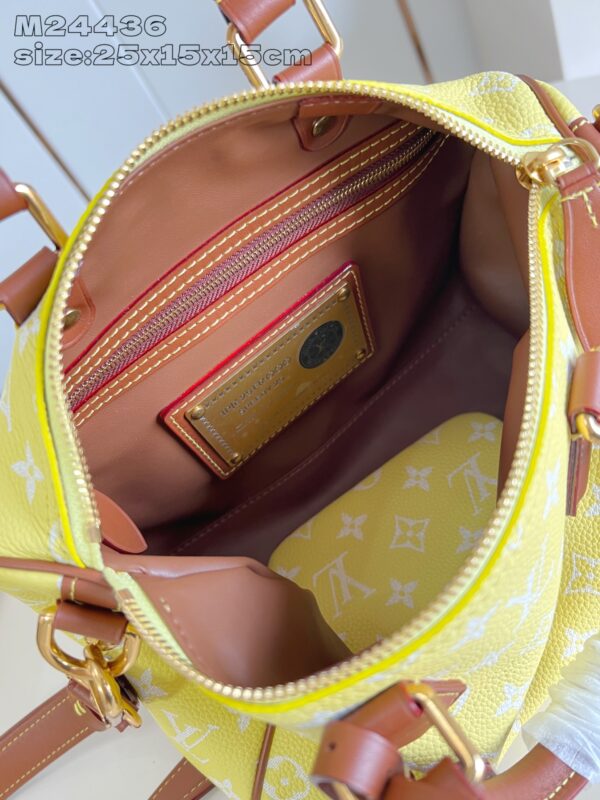 LV Master level Bag