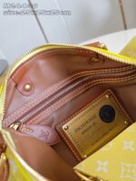 LV Master level Bag