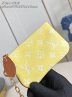 LV Master level Bag