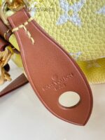 LV Master level Bag