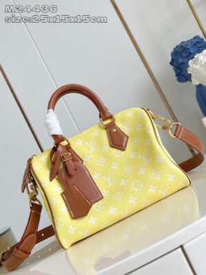 LV Master level Bag