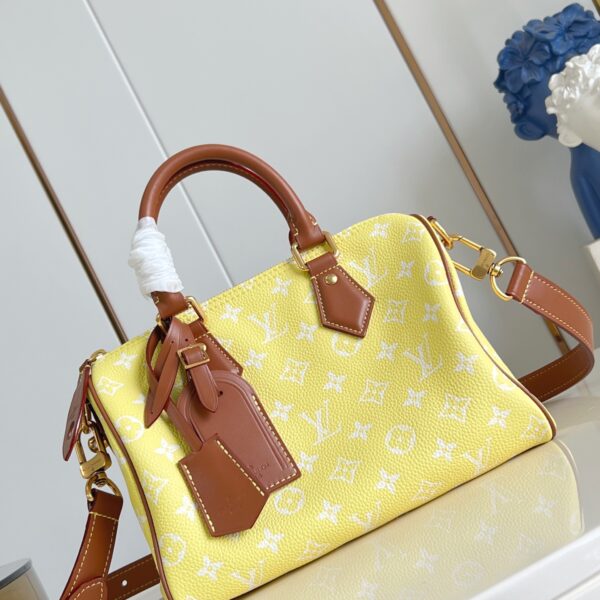 LV Master level Bag