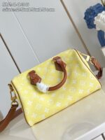 LV Master level Bag