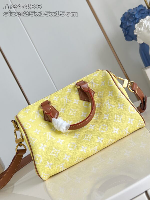 LV Master level Bag
