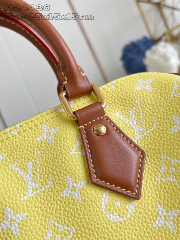 LV Master level Bag