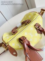 LV Master level Bag