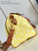 LV Master level Bag