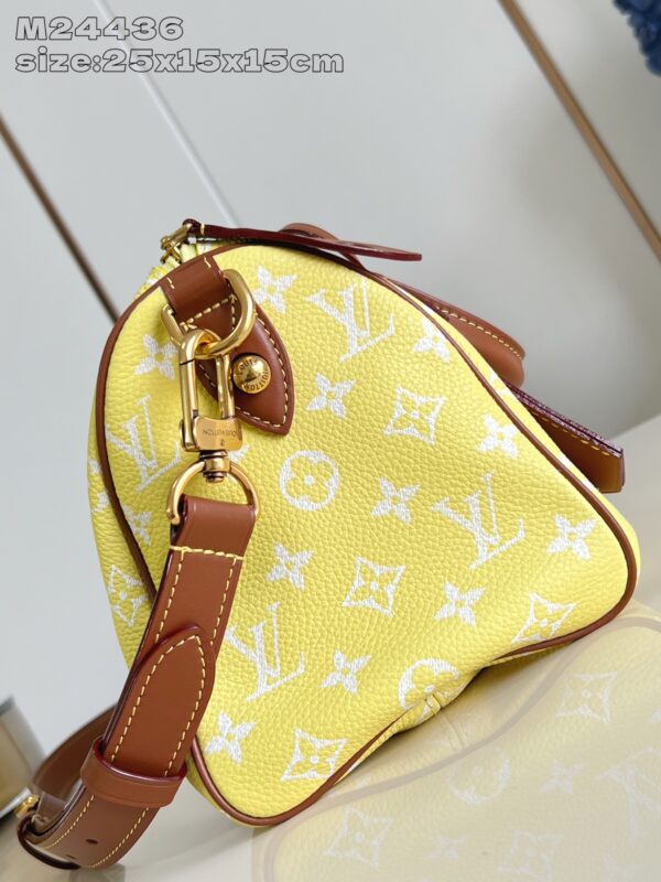 LV Master level Bag