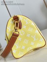 LV Master level Bag