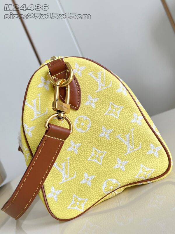LV Master level Bag