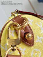 LV Master level Bag