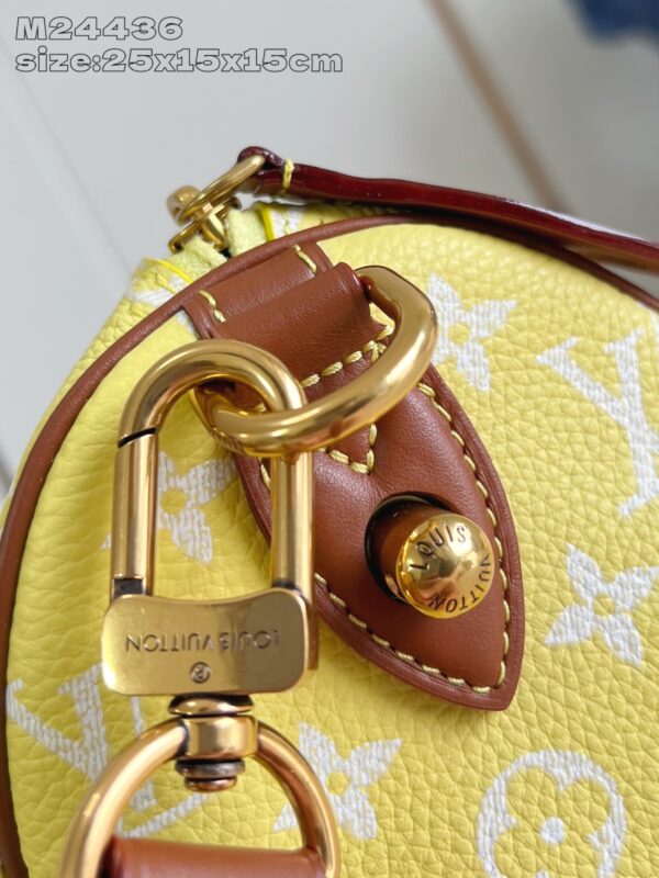 LV Master level Bag
