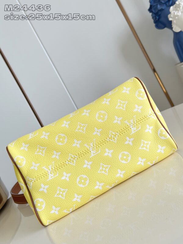 LV Master level Bag