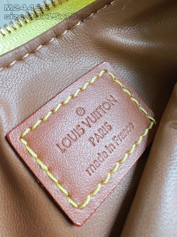 LV Master level Bag