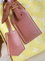 LV Master level Bag