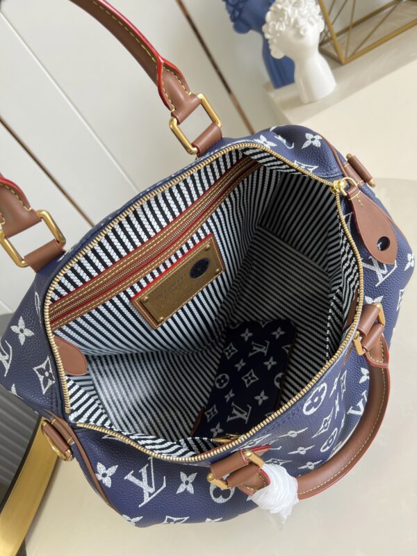 LV Master level Bag