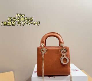 Dior Bag 2025