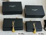 YSL Bag 2025
