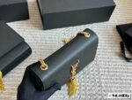 YSL Bag 2025