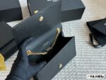 YSL Bag 2025