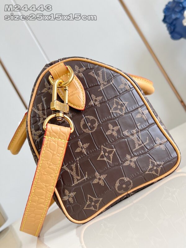 LV Master level Bag