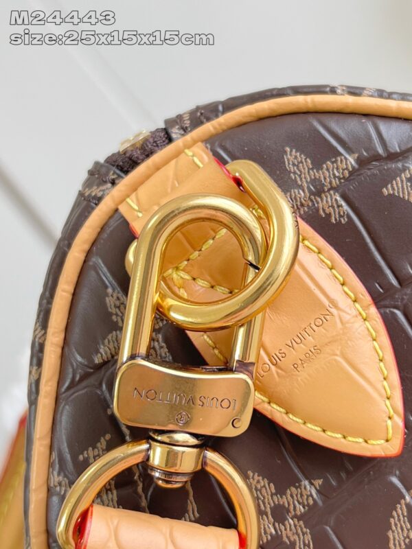 LV Master level Bag