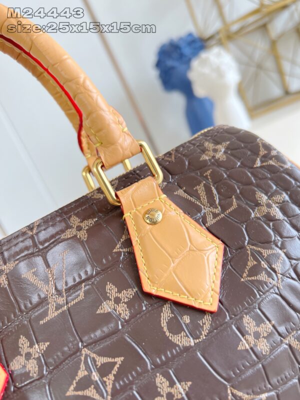 LV Master level Bag