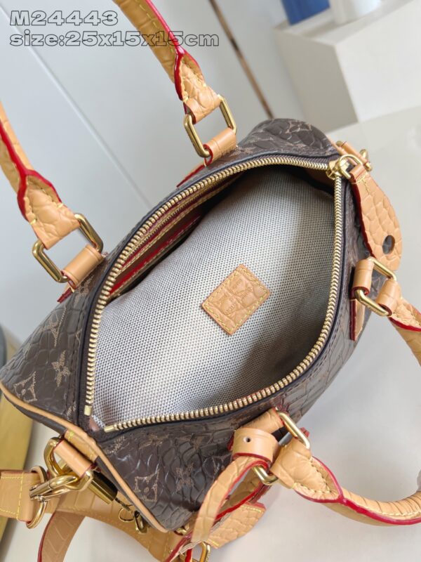LV Master level Bag