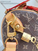 LV Master level Bag