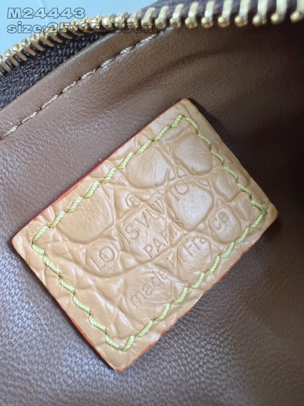 LV Master level Bag