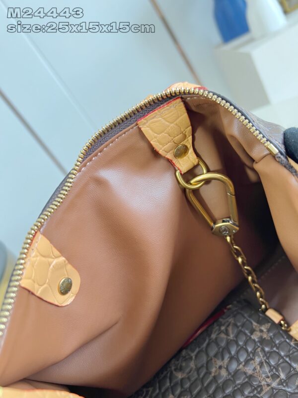 LV Master level Bag