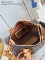 LV Master level Bag