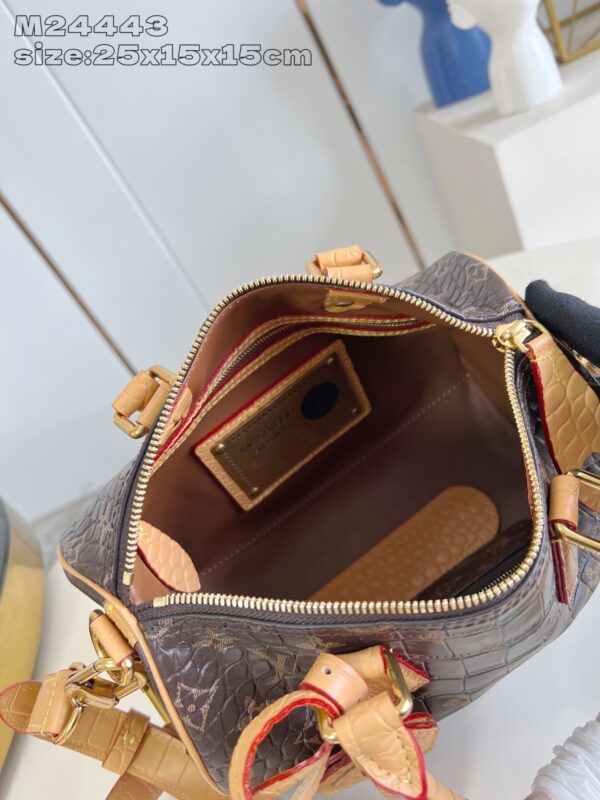 LV Master level Bag