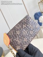 LV Master level Bag