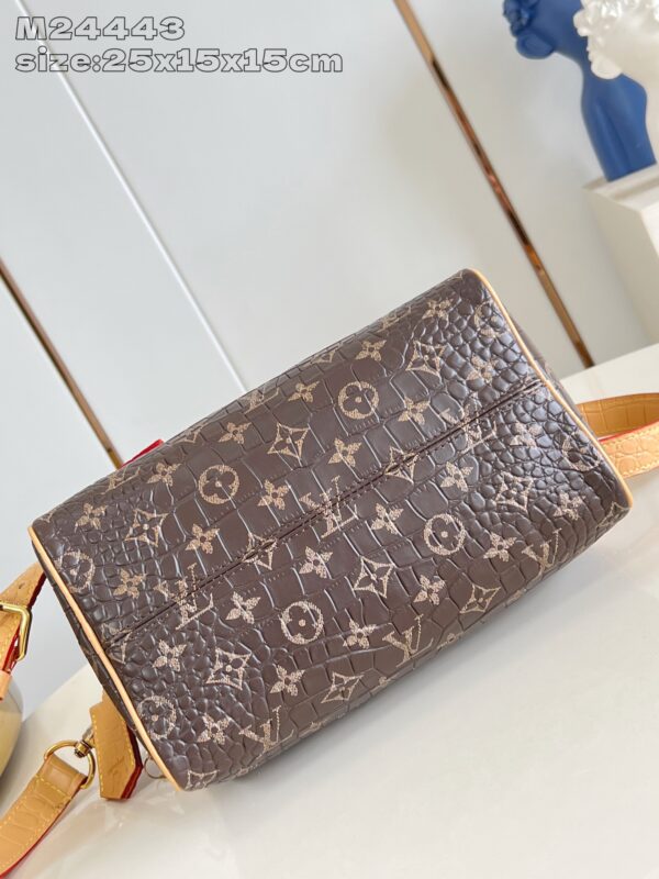 LV Master level Bag