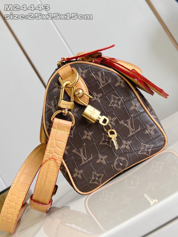 LV Master level Bag