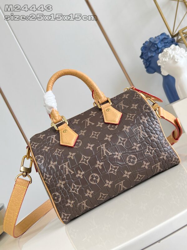 LV Master level Bag
