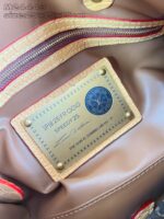LV Master level Bag