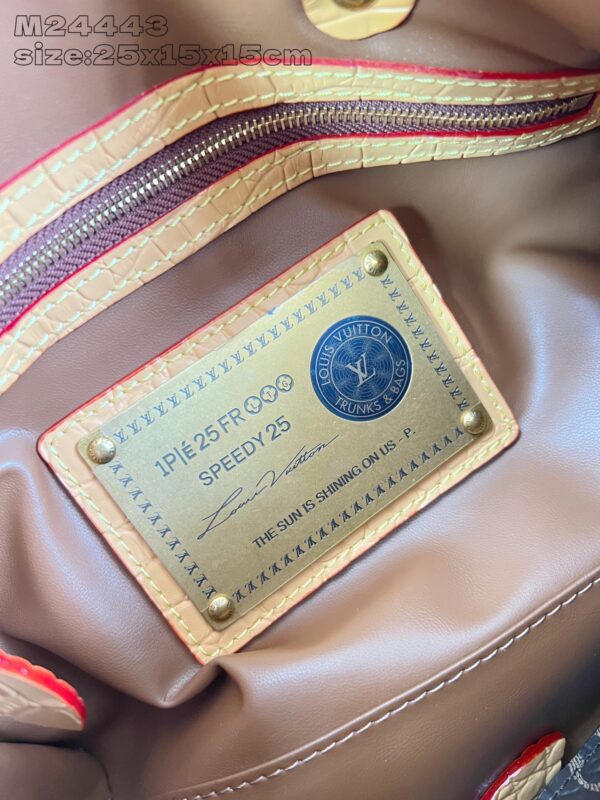 LV Master level Bag
