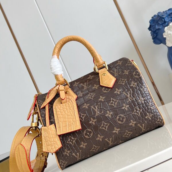 LV Master level Bag