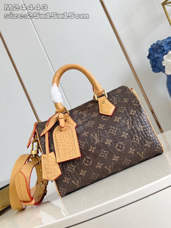LV Master level Bag