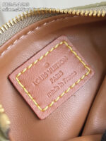 LV Master level Bag