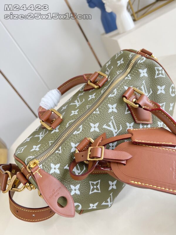 LV Master level Bag