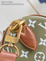LV Master level Bag