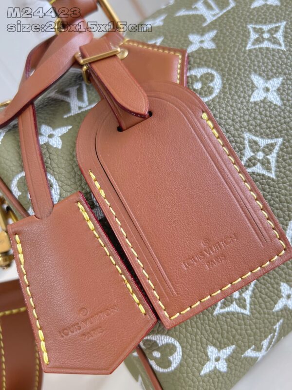 LV Master level Bag