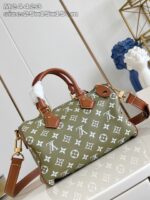 LV Master level Bag