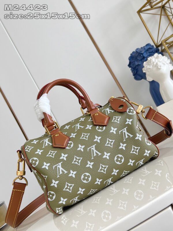 LV Master level Bag