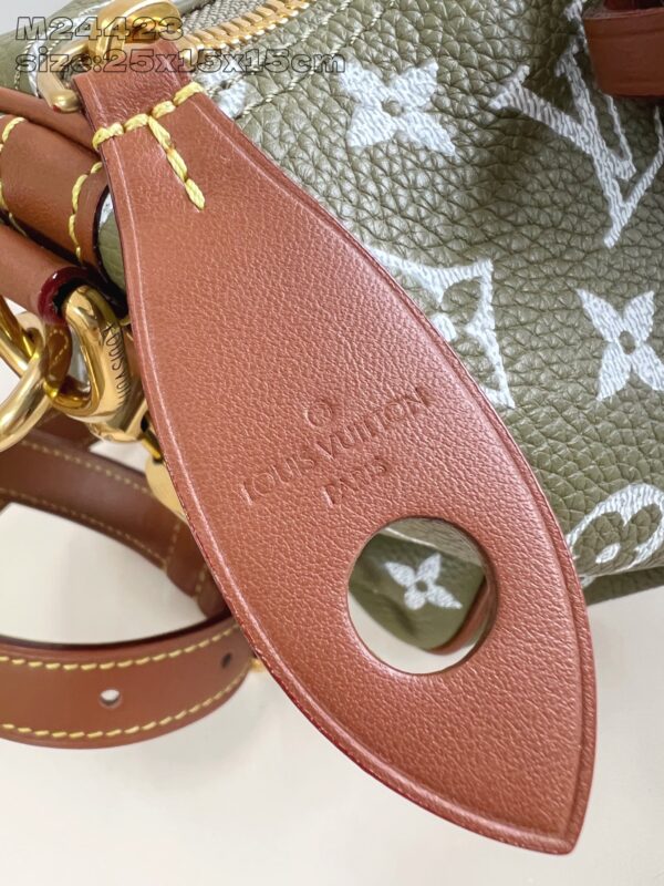 LV Master level Bag