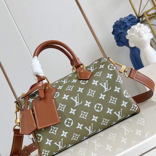 LV Master level Bag